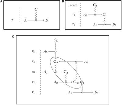 Minimal Organizational Requirements for the Ascription of Animal Personality to Social Groups